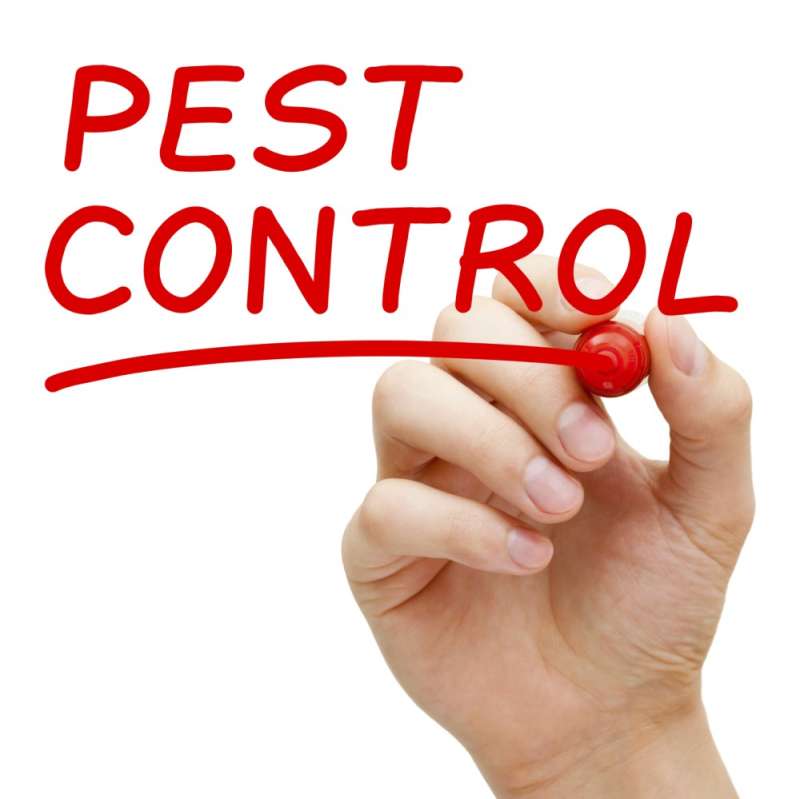 lawn Pest Control in Townsend, MA 01469