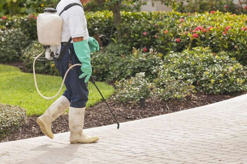 Lawn Pest Control in Hopedale, MA 01747