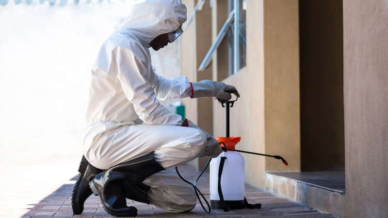 Wasp Pest Control in Kasilof, AK 99610