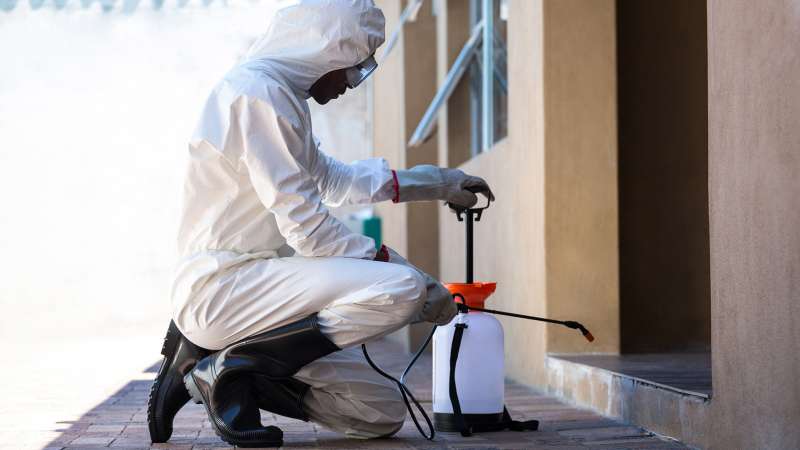 Lawn Pest Control in Stevens Village, AK 99774