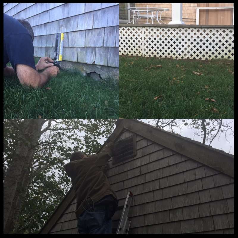 24hr. Pest Control in Bancroft, WI 54921