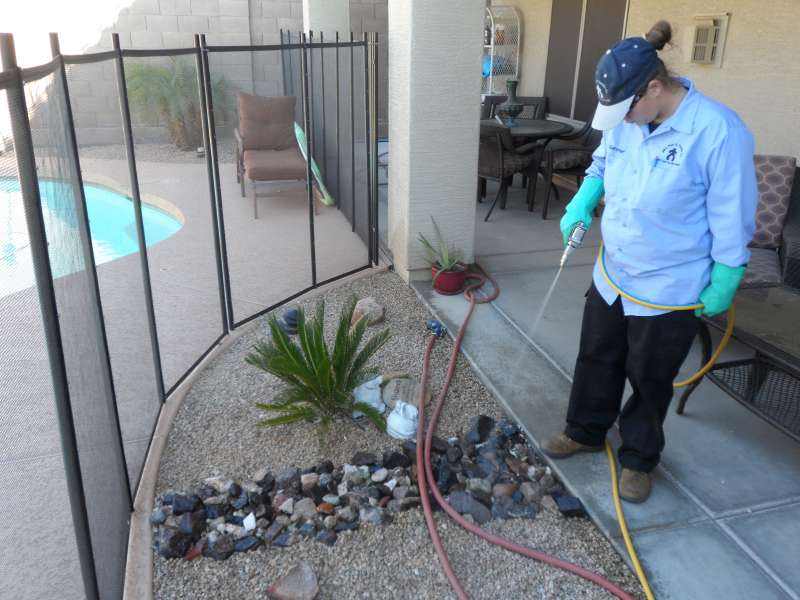 24 hr Pest Control in Springfield, MA 01128